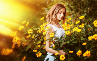 Girl white dress yellow flower - the sun shining behind her free wallpaper