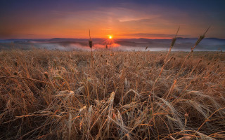 Sunset foggy field mountains grass - heavy grain free wallpaper for desktop