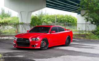 Red car parked under bridge - a tree and bushes free wallpaper