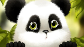 Panda green eyes leaves blurry - a black nose free wallpaper for desktop