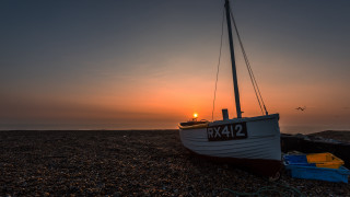 Boat beach ocean sunset bird - top of a beach next free wallpaper