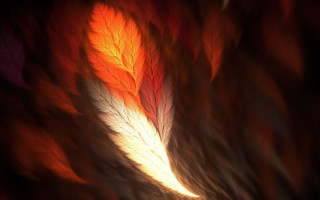 Blurry leaf abstract warm autumn - warm free wallpaper