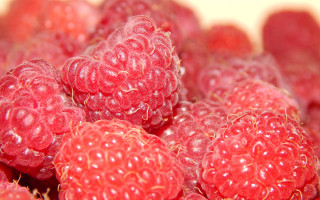 Raspberries closeup macro blurry fire - a white surface free wallpaper