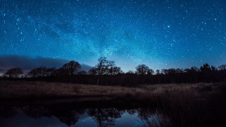 Night sky stars lake trees - a night sky free wallpaper