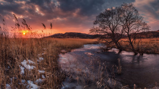 Tree sunset stream snow field - snow free wallpaper for desktop