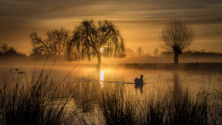 Lake sunset boat tree fog - a tree in the background free wallpaper