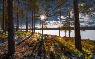 Sunshine snowy forest lake autumn - a snowy forest free wallpaper