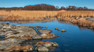 Hudson river rocks water dry - rock and water free wallpaper for desktop