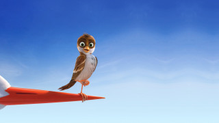Bird red object sky gradient - pixar and disney animation free wallpaper