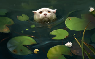 Cat swimming pond lilies magic - a pond free wallpaper
