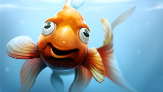 Goldfish big smile swimming bubbles - a big smile free wallpaper