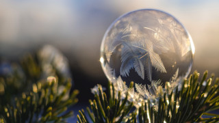 Crystal ball pine branch frosting - a crystal ball free wallpaper for desktop