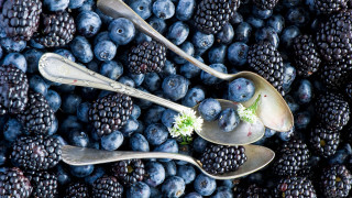 Spoons berries flowers pattern evaline - berry free wallpaper