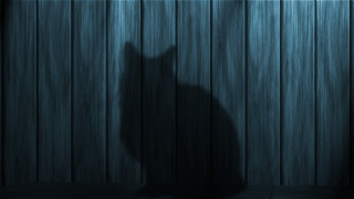 Cat standing dark wooden floor - dark background free wallpaper for desktop