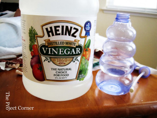 Vinegar water spoon conceptual food - professional free wallpaper