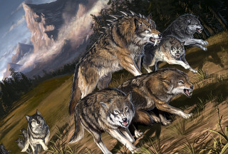Wolves running field mountains clouds - chris rahn free wallpaper