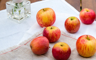 Apples vase flowers candle stilllife - boetius adamsz bolswert free wallpaper for desktop