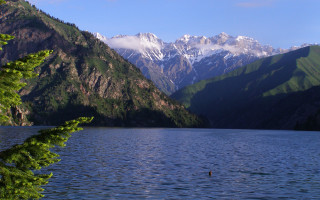 Lake mountains swimming bird arkhip - lake free wallpaper