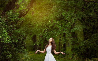 Woman white dress forest outstretched - daphne mcclure free wallpaper for desktop