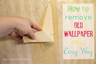 Hand holding paper wallpaper removal - temporary free wallpaper