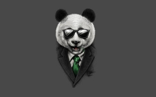 Panda sunglasses suit green tie - a panda bear free wallpaper