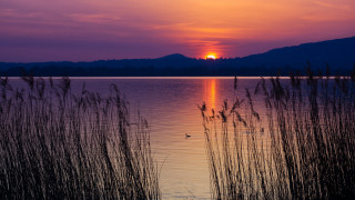 Sunset lake tallgrass mountain bird - a sunset over a lake free wallpaper