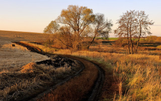 Dirt road autumn leaves mountains - a dirt road in a field free wallpaper