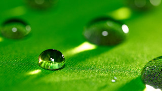 Green leaf water drops nature - a green leaf free wallpaper