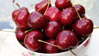 Cherry bowl water droplets white - a white cup free wallpaper
