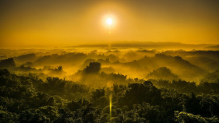Sunset forest fog light mountain - the fog free wallpaper for desktop