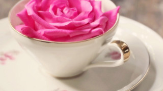 Pink rose white cup gold - a white cup free wallpaper