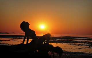 Woman beach sunset silhouette dog - the sun setting behind her free wallpaper for desktop