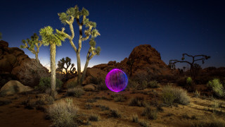 Night desert purple object joshua - a night scene free wallpaper