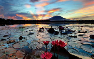 Lake mountain sunset lily pads - a colorful sky free wallpaper