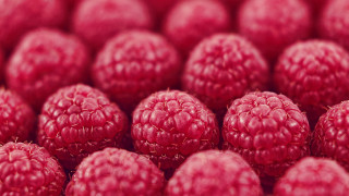 Raspberries closeup blurry background tiltshift - a pile together free wallpaper