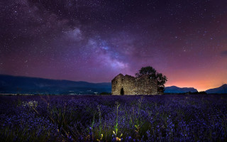 Purple lavender field night sky - arthur b. carles free wallpaper