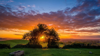 Tree sunset clouds horizon landscape - dave allsop free wallpaper for desktop