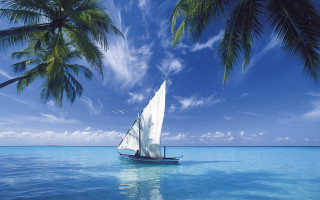 Sailboat ocean palm trees blue 3 - don arday free wallpaper