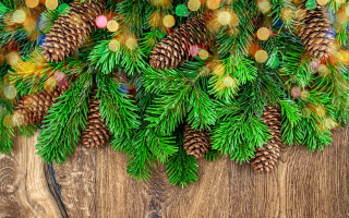 Pine cones pine needles wooden - a pine cone free wallpaper