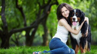 Woman hugging dog park nature - animal free wallpaper for desktop