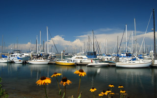 Boats yellowflowers summer vibrancy military - a bunch of boats free wallpaper