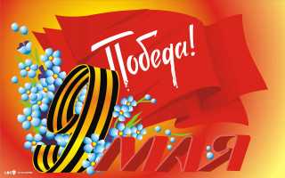 Red banner blue flowers yellow - 8 k free wallpaper