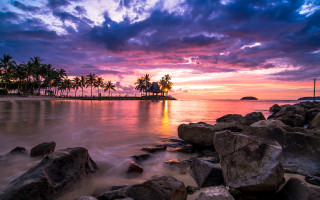 Sunset beach rocks palm trees 3 - the foreground and a body of water free wallpaper for desktop