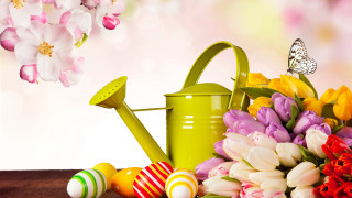 Watering can flowers easter eggs 2 - folk art free wallpaper