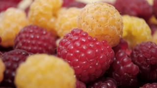 Raspberries yellow red fruits macro - other fruit free wallpaper for desktop