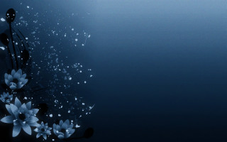 Blue flowers waterdroplets black white - a few white flower free wallpaper for desktop