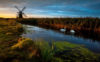 Swans pond windmill sunset clouds - a few cloud free wallpaper for desktop