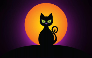 Black cat full moon green - spooky free wallpaper