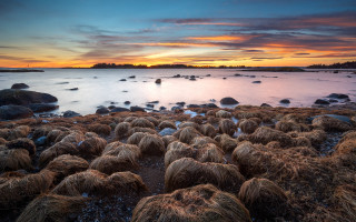 Beach rocks grass sunset clouds - the shore and a sunset in the background free wallpaper