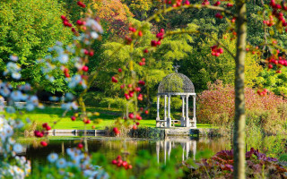 Gazebo park trees flowers pond - autumn free wallpaper for desktop